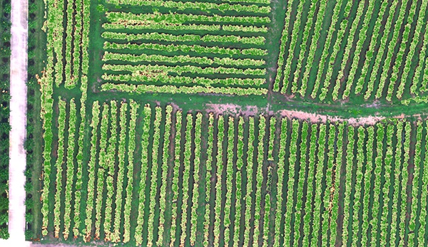 z6com·尊龙CW航磁系统