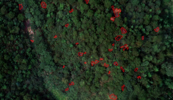 z6com·尊龙CW航磁系统